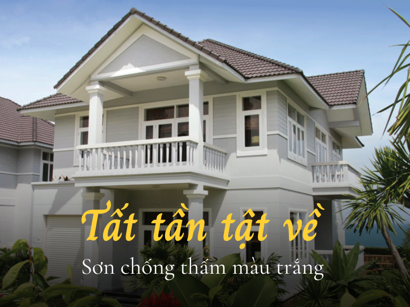 Tất tần tật về sơn chống thấm màu trắng gia chủ nên biết Tất tần tật về sơn chống thấm màu trắng gia chủ nên biết